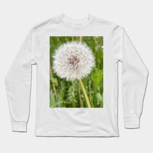 Dandelion flower Long Sleeve T-Shirt